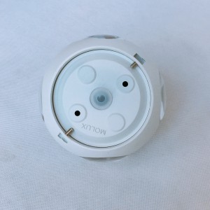 Đèn tường led MOLUX 2216