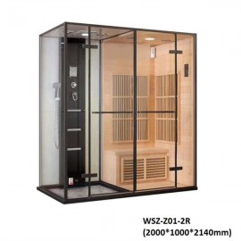 Cabin Wisemaker xông khô , ướt WSZ-Z01-2R (2000*1000*2140mm)