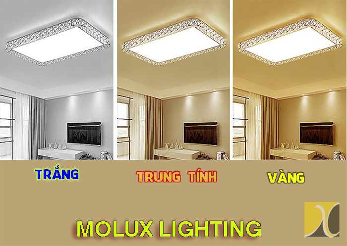 Đèn ốp trần Hải Phòng giá rẻ