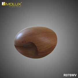 Đèn ốp tường hiện đại MOLUX R078WU (W100*H100mm)