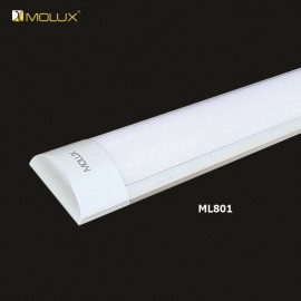 Đèn túyp led đôi MOLUX ML801