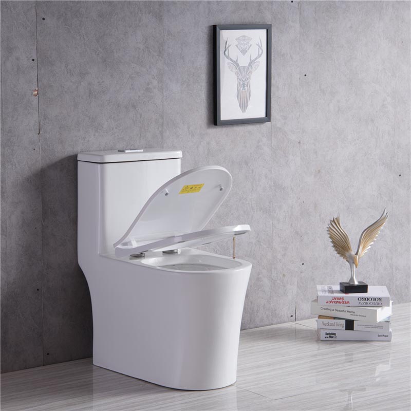 thiết bị vệ sinh hải phòng